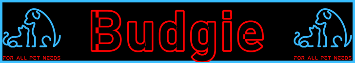 Pet-Extra Budgie Care Blog Post Title - Visitor Navigation Information Support Banner Image Black Blue Red