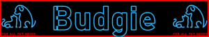 Pet-Extra Budgie Care Blog Post Title - Visitor Navigation Information Support Banner Image Black Blue Red