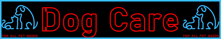 Pet-Extra Dog Care Blog Post Title - Visitor Navigation Information Support Banner Image Black Blue Red