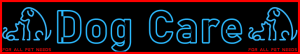 Pet-Extra Dog Care Blog Post Title - Visitor Navigation Information Support Banner Image Black Blue Red