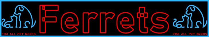 Pet-Extra Ferret Care Blog Post Title - Visitor Navigation Information Support Banner Image Black Blue Red
