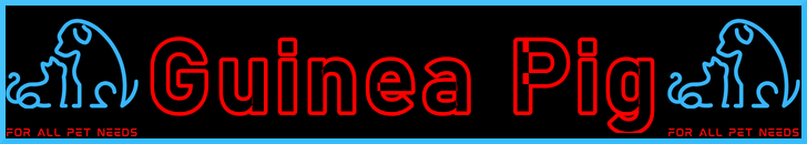 Pet-Extra Guinea Pig Care Blog Post Title - Visitor Navigation Information Support Banner Image Black Blue Red