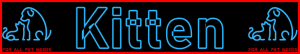 Pet-Extra Kitten Care Blog Post Title - Visitor Navigation Information Support Banner Image Black Blue Red