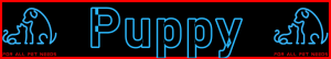 Pet-Extra Puppy Care Blog Post Title - Visitor Navigation Information Support Banner Image Black Blue Red