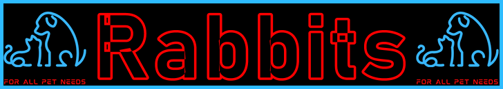 Pet-Extra Rabbit Care Blog Post Title - Visitor Navigation Information Support Banner Image Black Blue Red