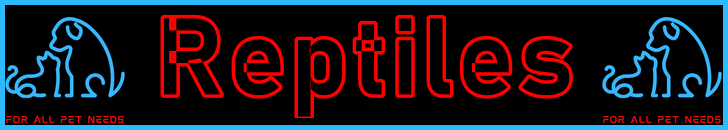 Pet-Extra Reptiles Care Blog Post Title - Visitor Navigation Information Support Banner Image Black Blue Red