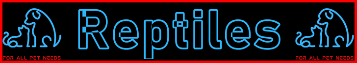 Pet-Extra Reptiles Care Blog Post Title - Visitor Navigation Information Support Banner Image Black Blue Red